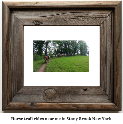 horse trail rides near me in Stony Brook, New York